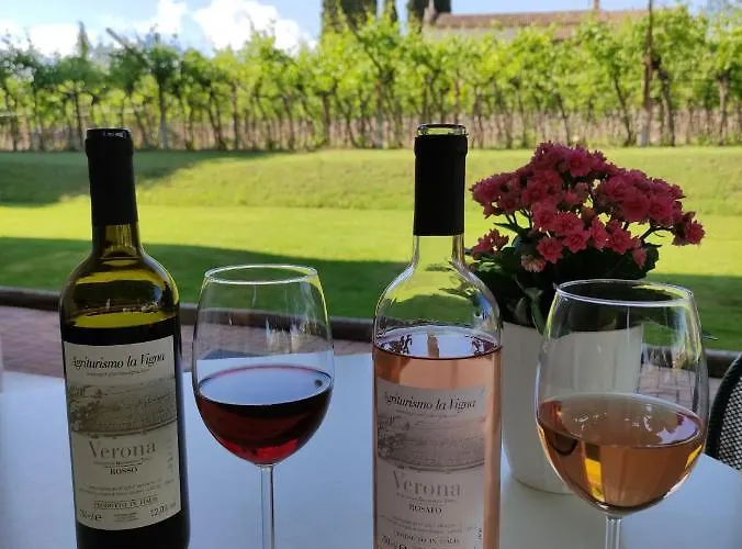 Agriturismo La Vigna Colà