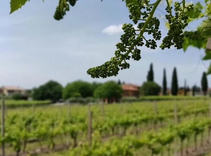 La Vigna Gospodarstwo agroturystyczne *
