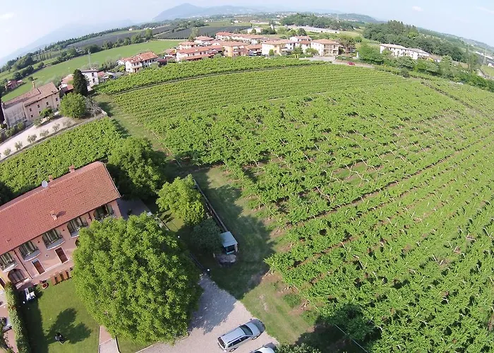 La Vigna *